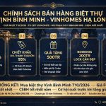 Chính sách bán hàng biệt thự Vịnh Bình Minh Vinhomes Hạ Long