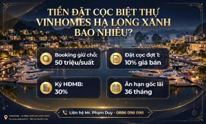 Tiền Đặt Cọc Biệt Thự Vinhomes Hạ Long Xanh Bao Nhiêu?