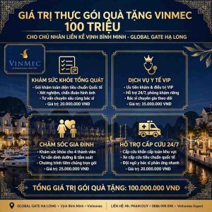 Giá Trị Thực Gói Quà Tặng Vinmec 100 Triệu Cho Chủ Nhân Liền Kề Vịnh Bình