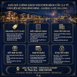 Giải Mã Chính Sách Voucher Kích Cầu 2,3 Tỷ Cho Liền Kề Vịnh Bình Minh
